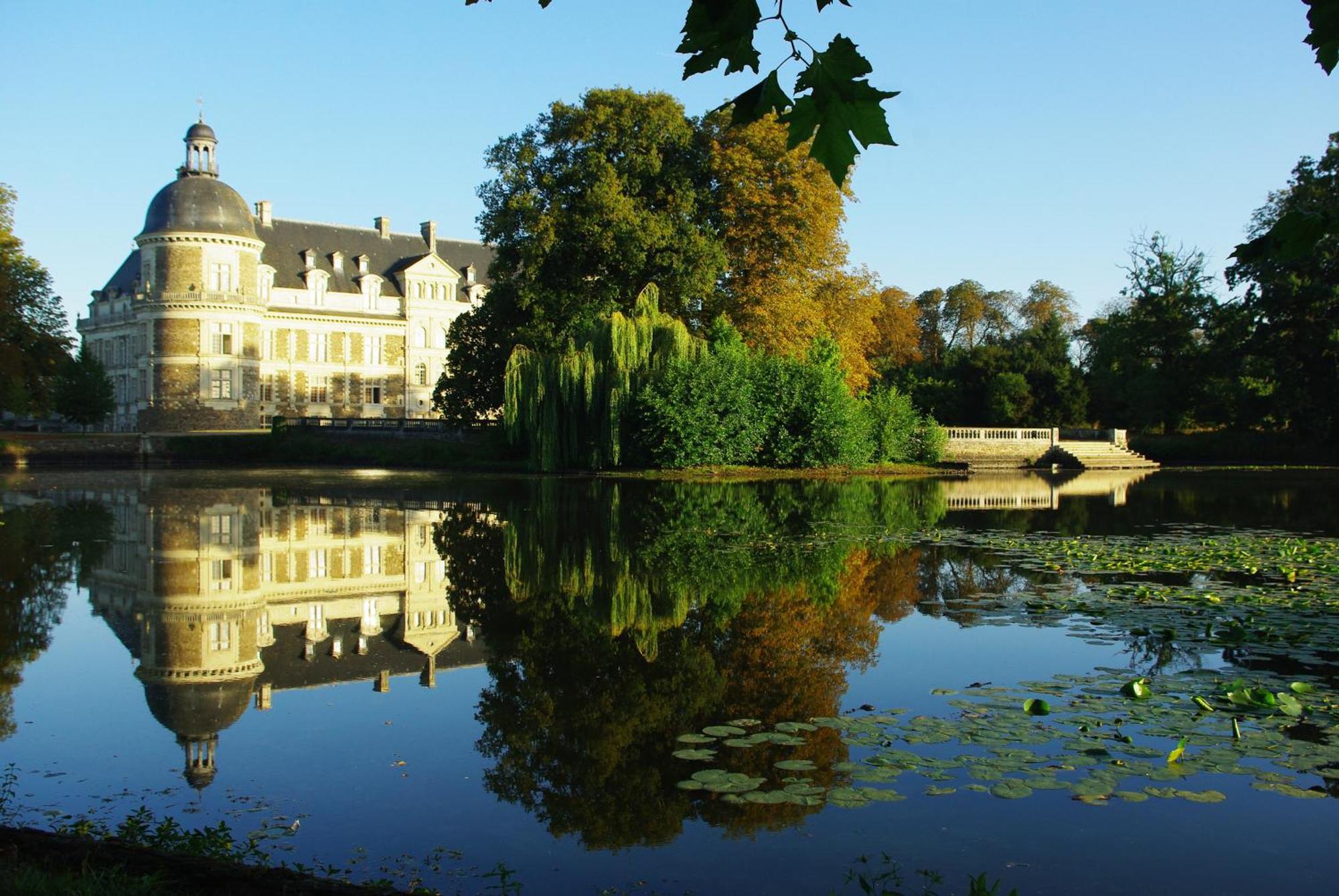 Les Plages De Loire * Rochefort-sur-Loire